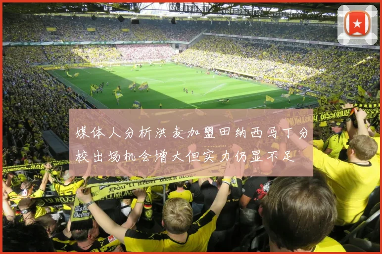 媒体人分析洪麦加盟田纳西马丁分校出场机会增大但实力仍显不足