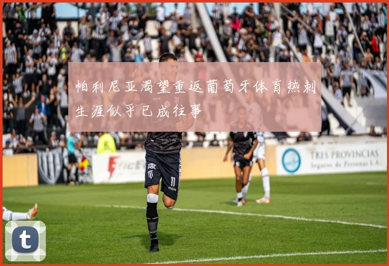 帕利尼亚渴望重返葡萄牙体育热刺生涯似乎已成往事