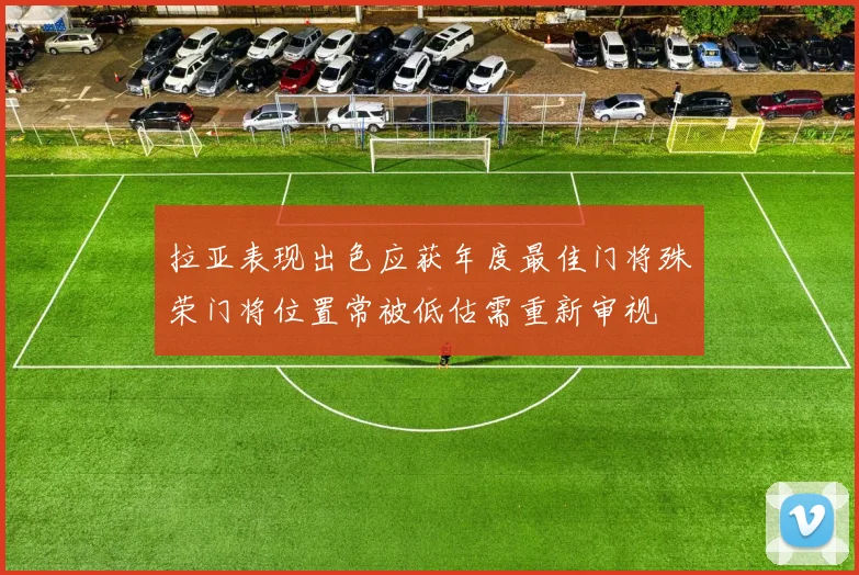 拉亚表现出色应获年度最佳门将殊荣门将位置常被低估需重新审视