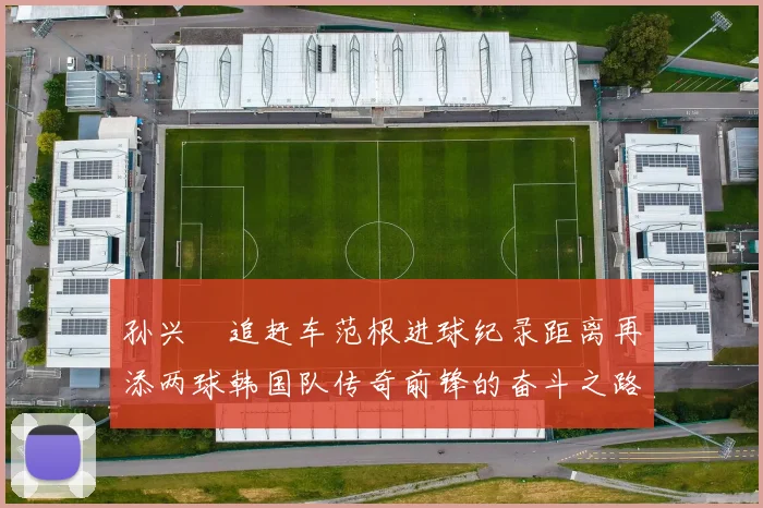 孙兴慜追赶车范根进球纪录距离再添两球韩国队传奇前锋的奋斗之路